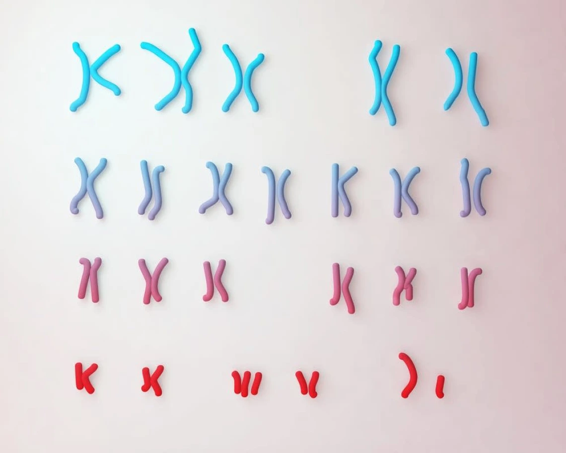 Chromosomes